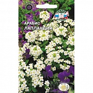 Семена Цветы Арабис Лапландия, 0,1г., Седек