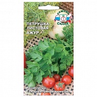Семена Петрушка Листовая Ажур, 2г., Седек