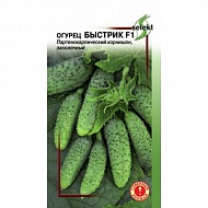 Семена Огурец Быстрик, 10шт., Дом Семян С-П