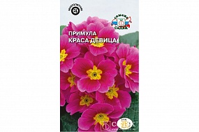 Семена Цветы Примула Краса девица, 5шт., Седек