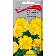 Семена Цветы Бархатцы Аура желтая, 0,4г., Поиск