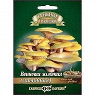 Семена Мицелий Вешенка золотая Лимонная на древесной палочке, 12шт., Гавриш