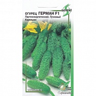 Семена Огурец Герман, 6шт., Дом Семян С-П