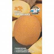 Семена Дыня Ананасная ср/ран, 0,5г., Седек	