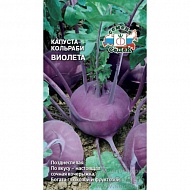 Семена Капуста кольраби Виолета, 1г., Седек