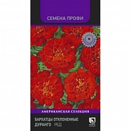 Семена Цветы Бархатцы Дуранго Ред, отклоненные, Поиск