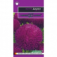 Семена Цветы Астра Джувел Аметист, 0.05 г, Эксклюзив, Гавриш