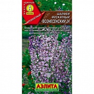 Семена Шалфей Вознесенский 24, 0,2г., Аэлита