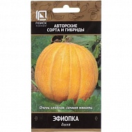 Семена Дыня Эфиопка, 15 шт, Поиск