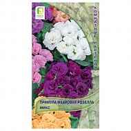 Семена Цветы Примула Махровая Розелла Микс, 5 шт, Поиск
