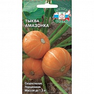 Семена Тыква Амазонка, 1,5г., Седек