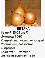Семена Лук севок ШЕТАНА 15/22