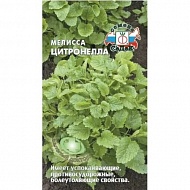 Семена Мелисса Цитронелла, 0.05 г, Седек