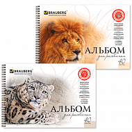 Альбом для рисования А4 40л BRAUBERG 102831