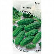 Семена Огурец Гном F1, 0,3г., Ависта