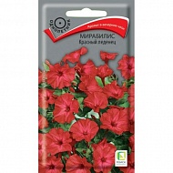 Семена Цветы Мирабилис Красный леденец, 1 г, Поиск