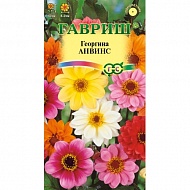 Семена Цветы Георгина Анвинс см, 0,3г., Гавриш