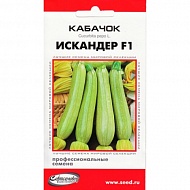 Семена Кабачок Искандер, 5шт., Дом Семян С-П	