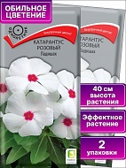 Семена Цветы Катарантус Падишах, 0,1г., Поиск