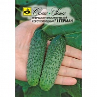 Семена Огурец Герман, 5шт., Семко