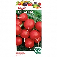Семена Редис Аскания, 1г., Гавриш