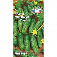 Семена Огурец Маша, 0,15г., Седек