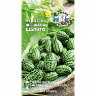 Семена Мелотрия Шапито, 0,05г., Седек